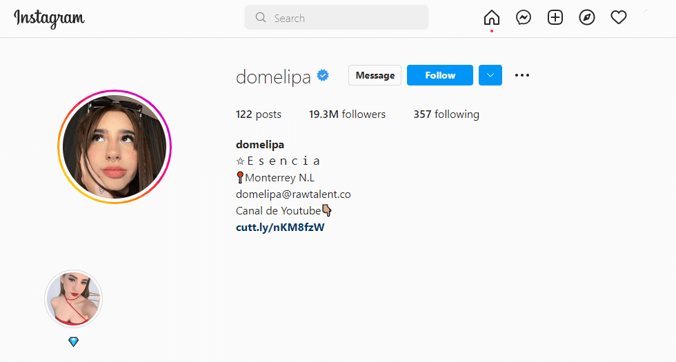 Domelipa Instagram Account