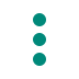 WhatsApp more options icon