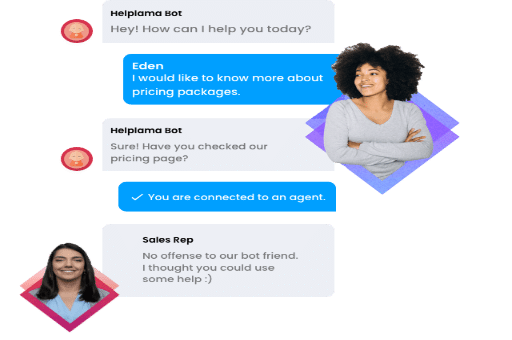 Live Chat 