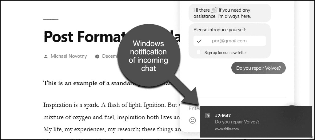 how to use tidio chat in wordpress