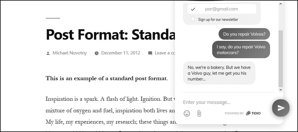 how to use tidio chat in wordpress
