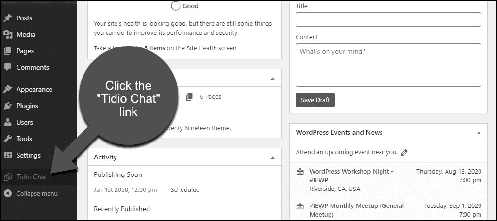how to use tidio chat in wordpress