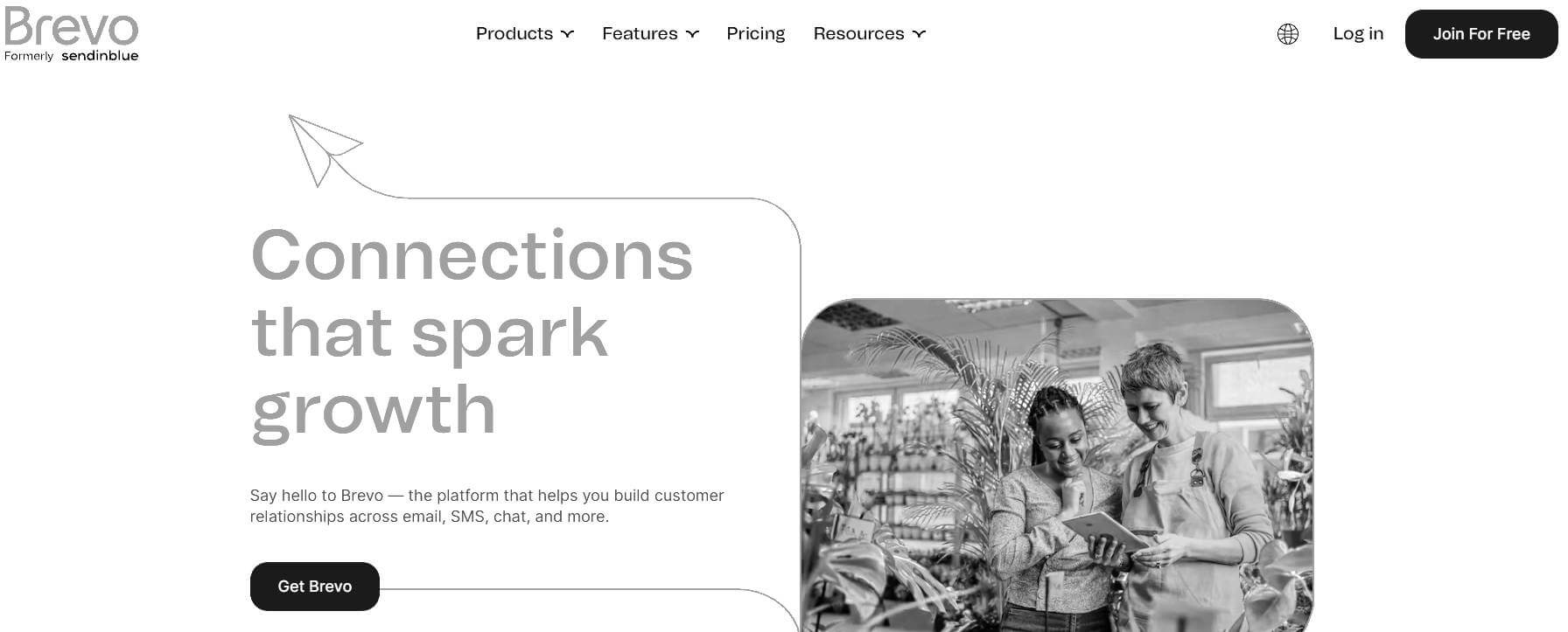 mailchimp alternatives