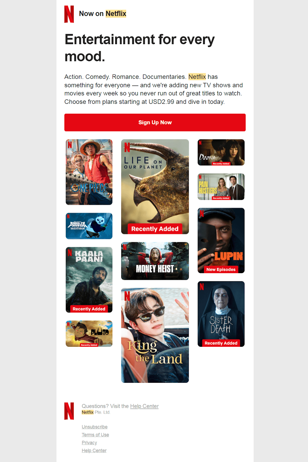 newsletter email marketing