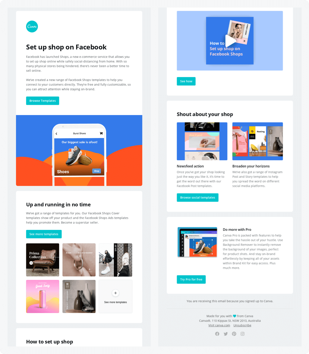 email newsletter tools